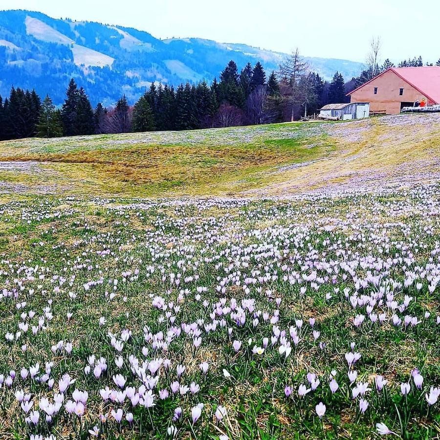 Landhaus Eibelesee Oberstaufen Zewnętrze zdjęcie