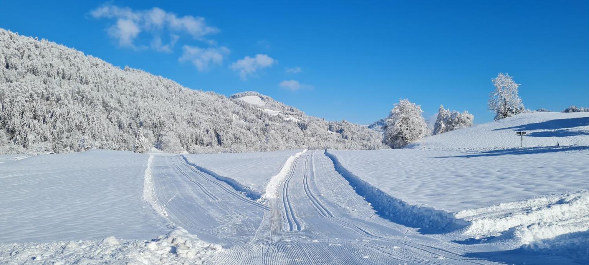 Landhaus Eibelesee Oberstaufen Zewnętrze zdjęcie