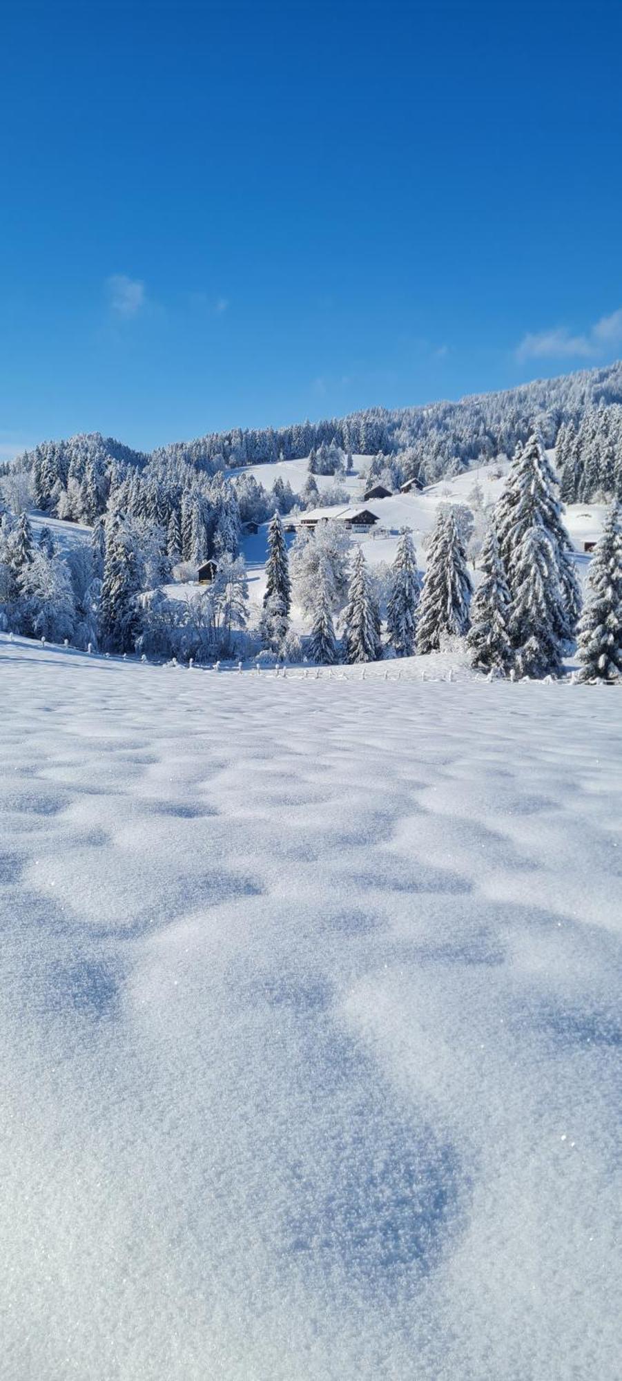 Landhaus Eibelesee Oberstaufen Zewnętrze zdjęcie