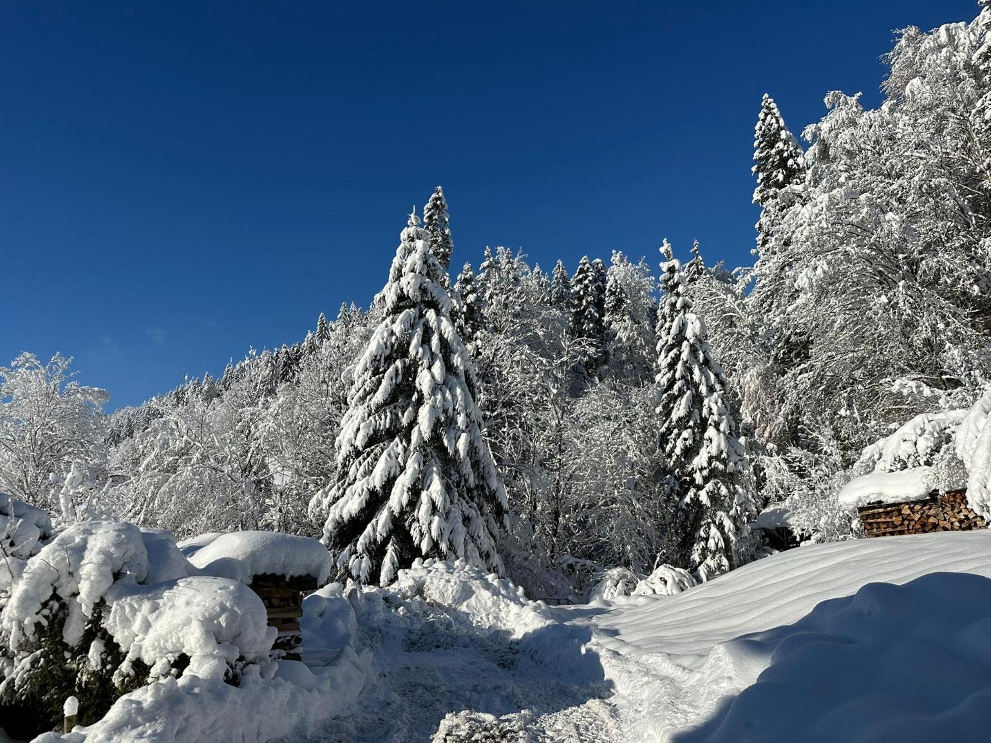 Landhaus Eibelesee Oberstaufen Zewnętrze zdjęcie