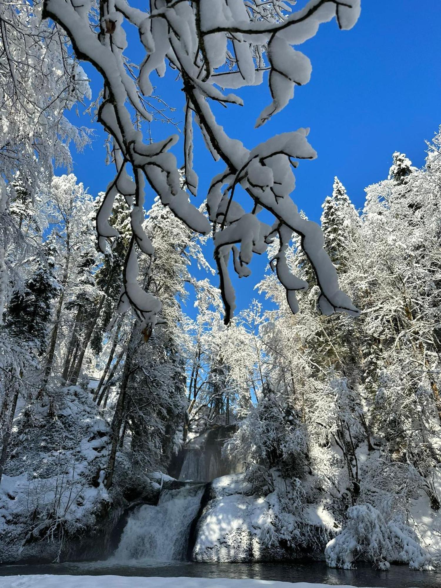 Landhaus Eibelesee Oberstaufen Zewnętrze zdjęcie